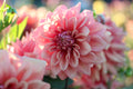 Lileah Caramel Rose